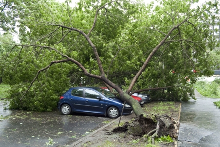 Property Damage Insurance Claims